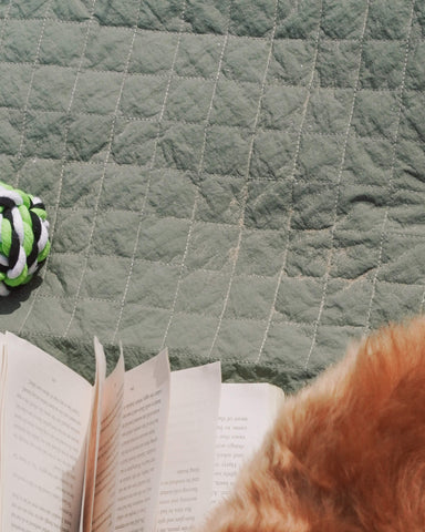 Close-up of sage green waterproof dog travel bed fabric with quilted stitching, book and dog fur – foldable dog mat by BONES